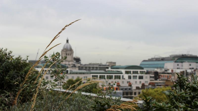 a view of St Pauls in London