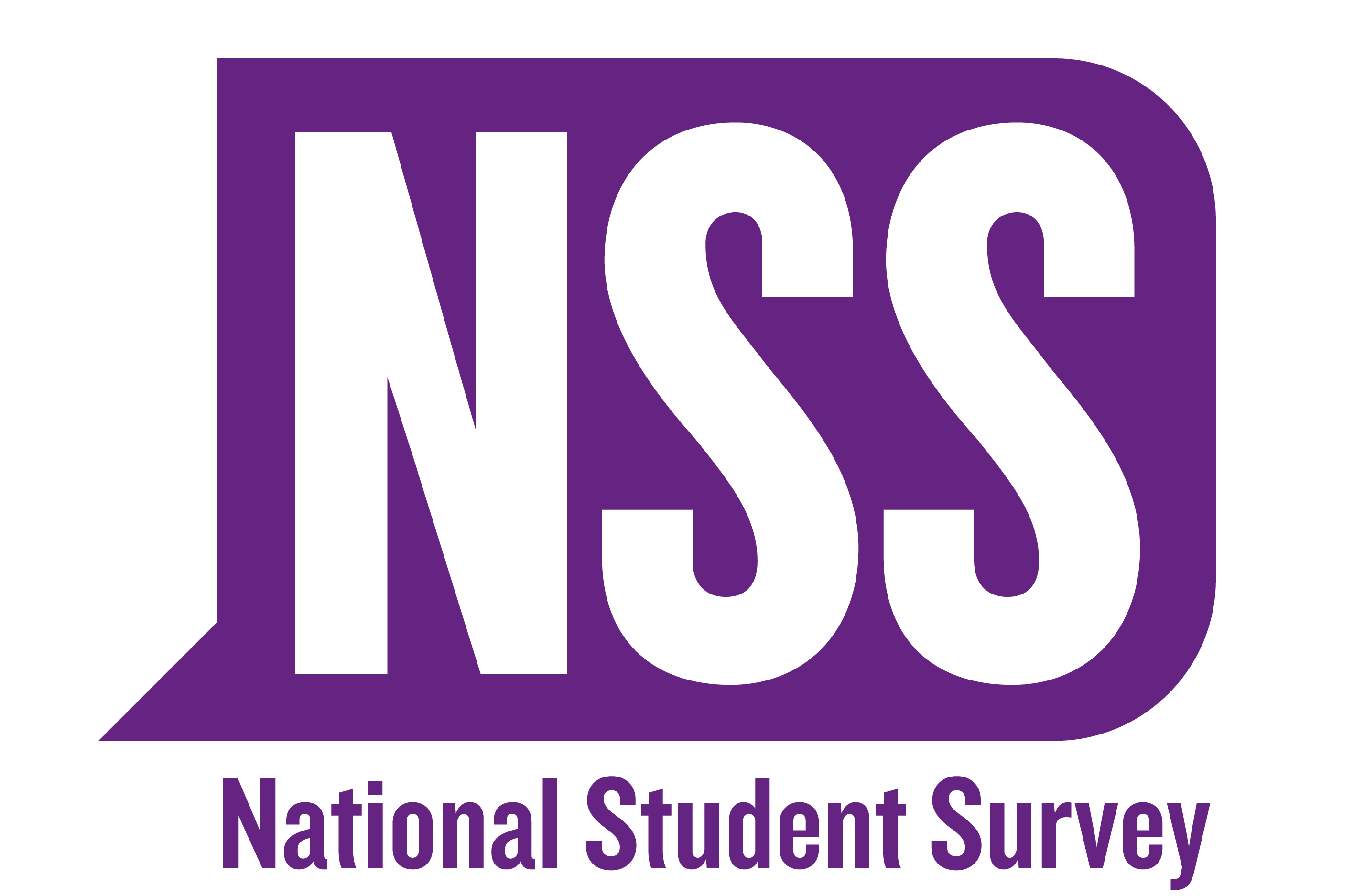 NATIONAL STUDENT SURVEY 2017 LOGO