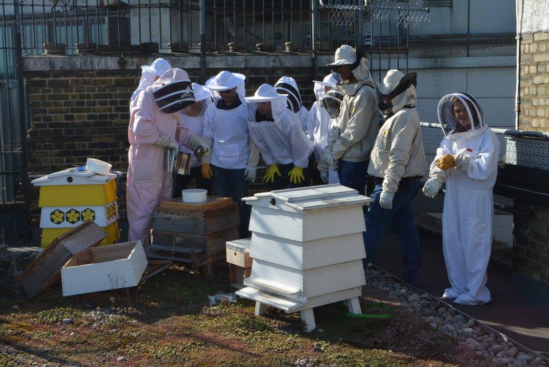 LSE staff and students in bee suits standing around bee hive