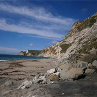 Dorset-Coast-1-1