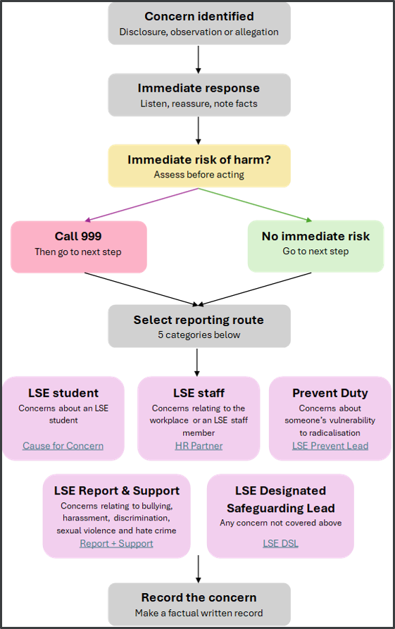 safeguarding-flowchart-border