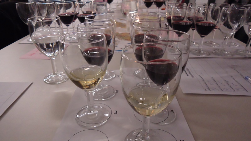 Glasses at Wine Tasting Event