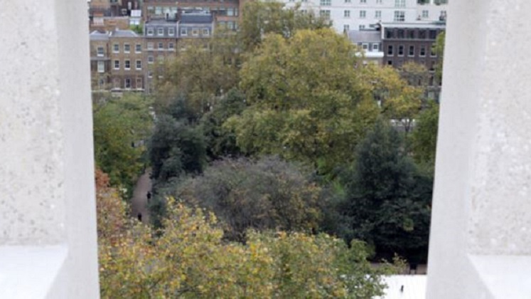 Sustainability -747x420