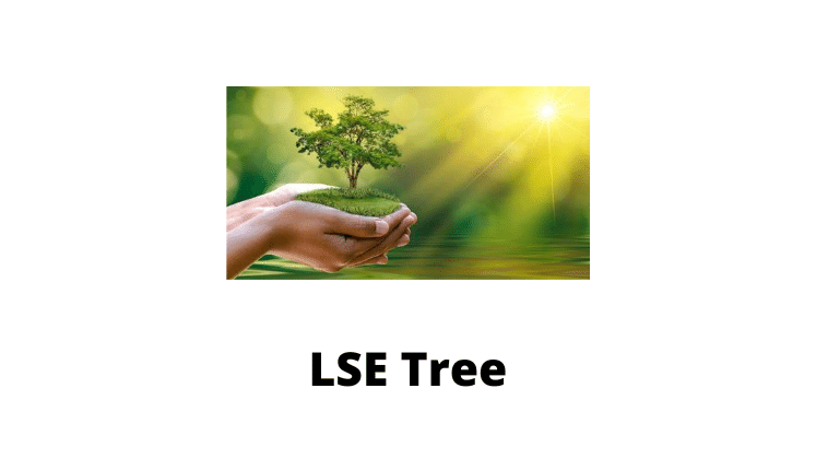LSE-Tree updated