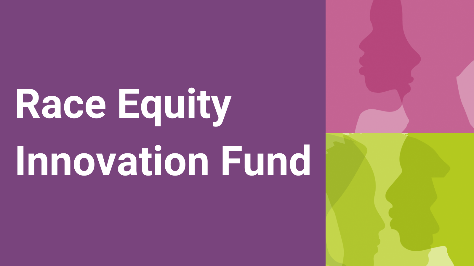 Race Equity Innovation Fund 16x9 text