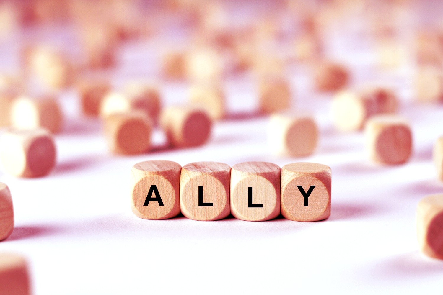ally-photo-header-size