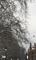 LSE Pride flag at 32 Lincoln's Inn Fields, in the snow by Hayley Reed