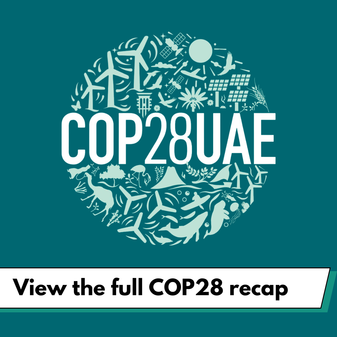 COP28