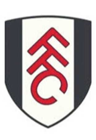FFC logo web
