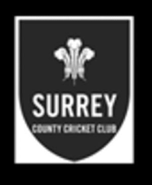 Surrey County CC logo web