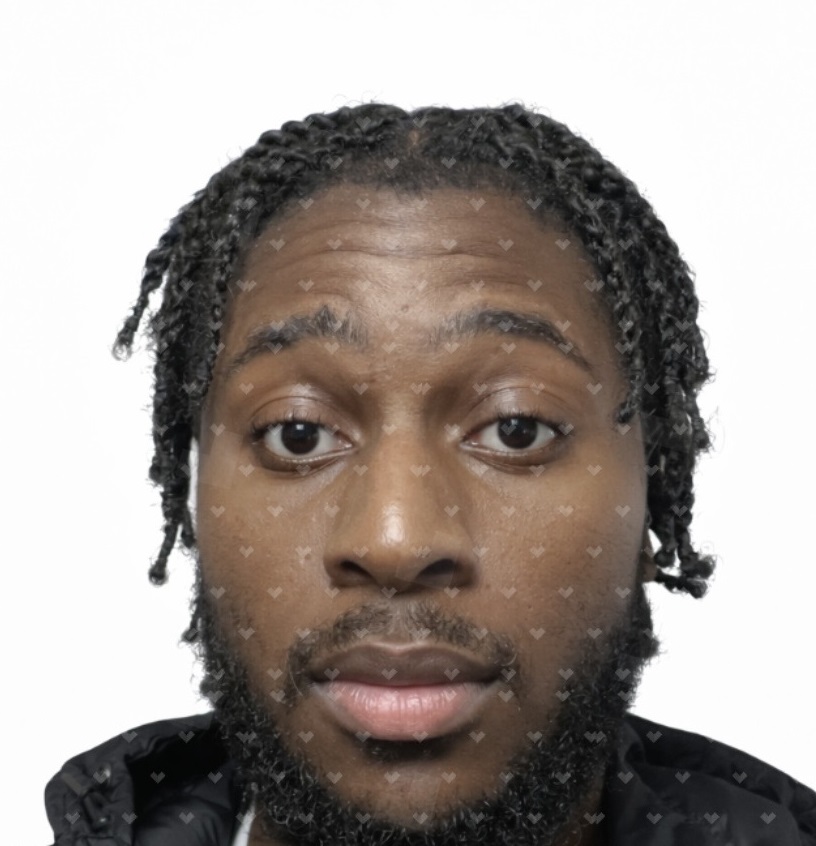David Onwu web