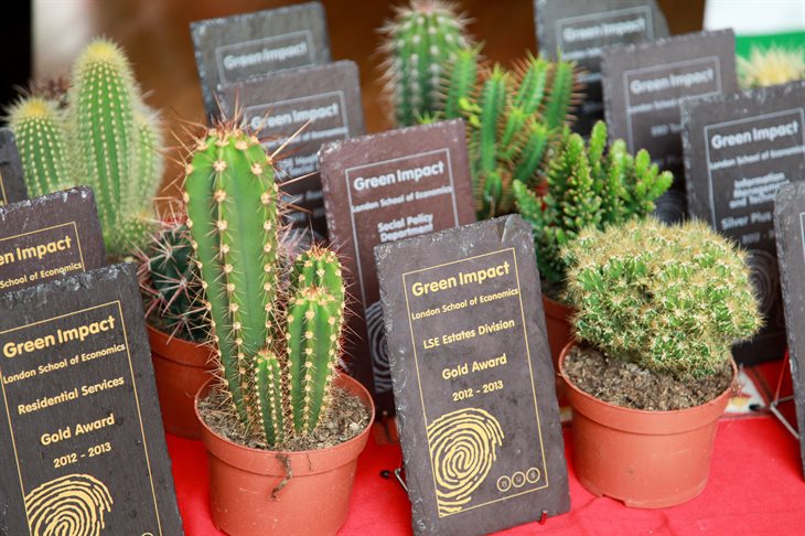 Green Impact award slates lined up with cacti