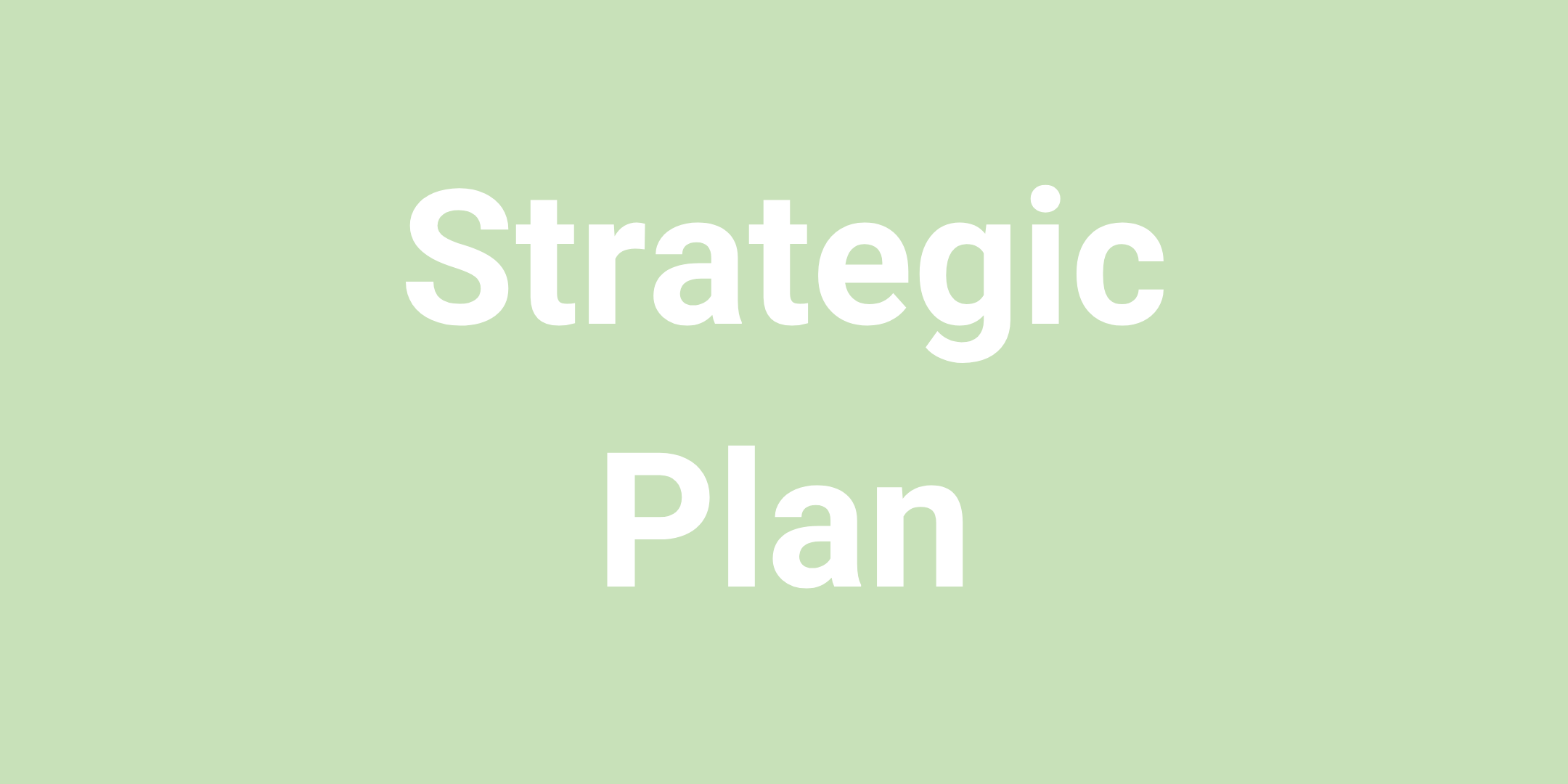 Strategic Plan