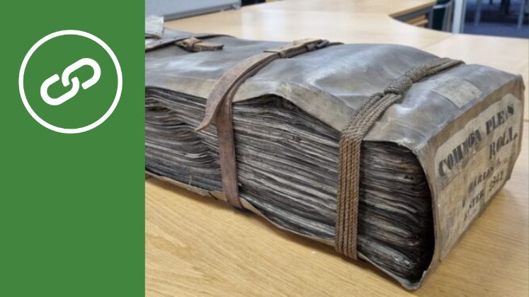 Louis Henderson Interview