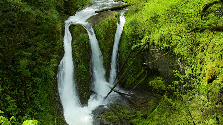 confluence
